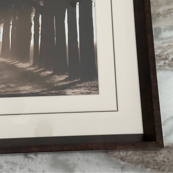 Sepia Tree Landscape Print Framed Glass Art - Wall Decor - Picture 6 of 16